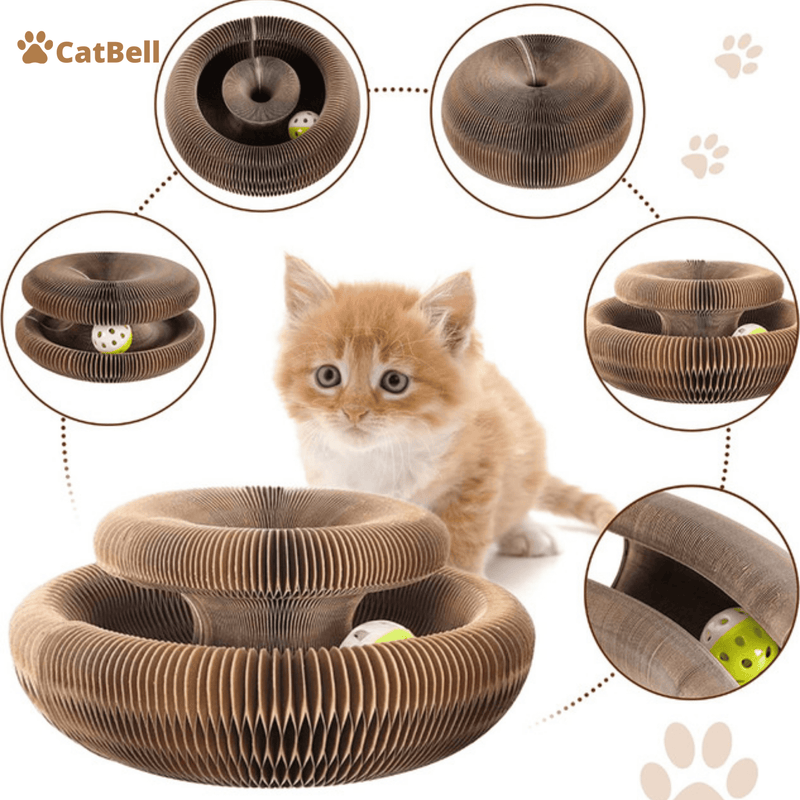 Brinquedo Para Gatos I Cat Bell +1 Bolinha de Brinde🎁